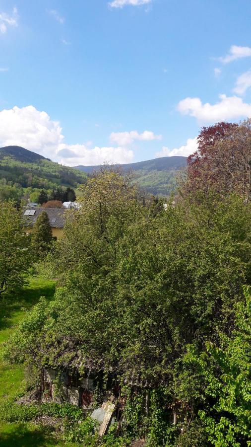 Apartman Lipa, Loučná nad Desnou Exterior foto
